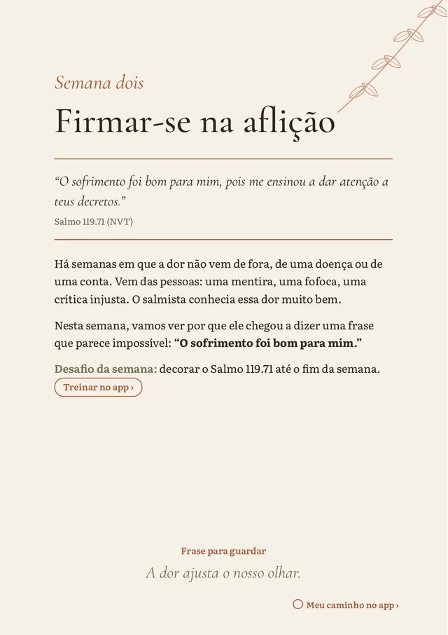Abertura da semana 2